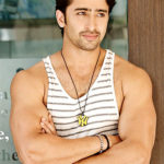 Shaheer Sheikh Wiki-Biography-Age-Weight-Height-Profile Info.